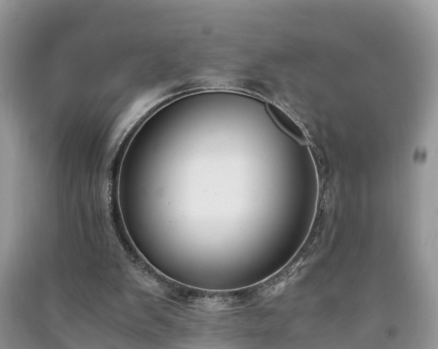 X0000091060103200708131139
