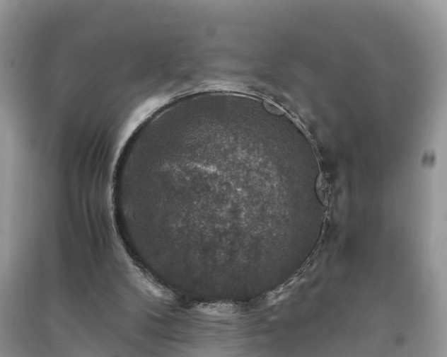 X0000091060104200708131139