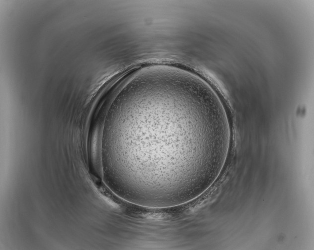 X0000091060105200708131139