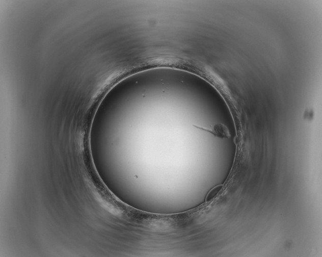 X0000091060106200708131139