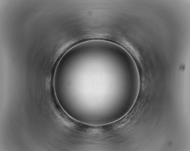 X0000091060107200708131139