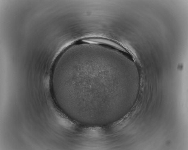 X0000091060108200708131139