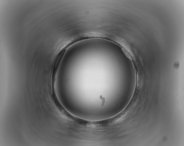 X0000091060109200708131139
