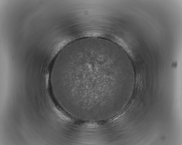 X0000091060110200708131139