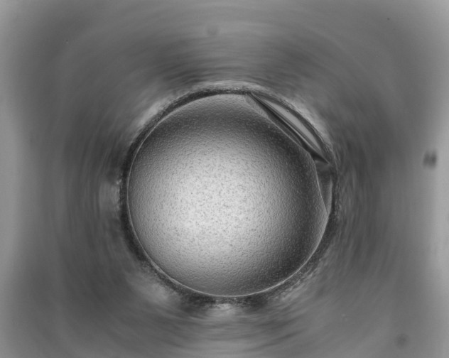 X0000091060111200708131139