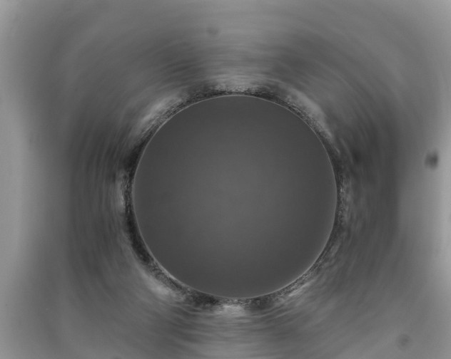 X0000091060114200708131139