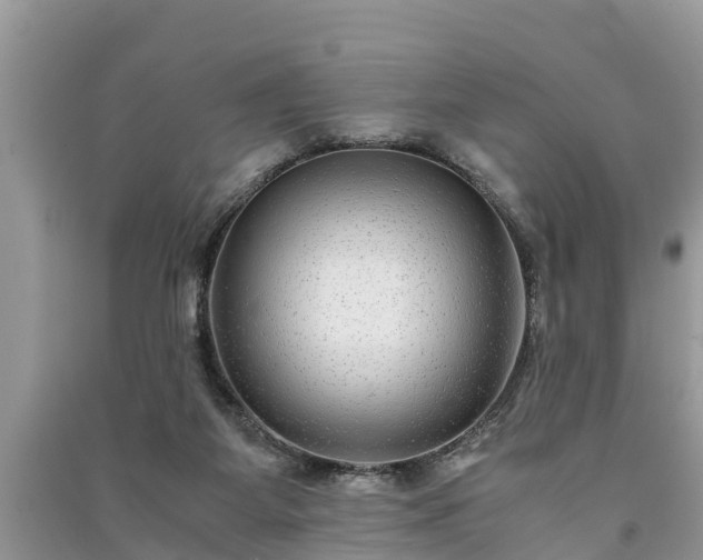 X0000091060115200708131139