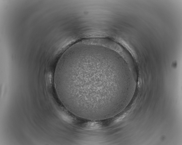 X0000091060117200708131139