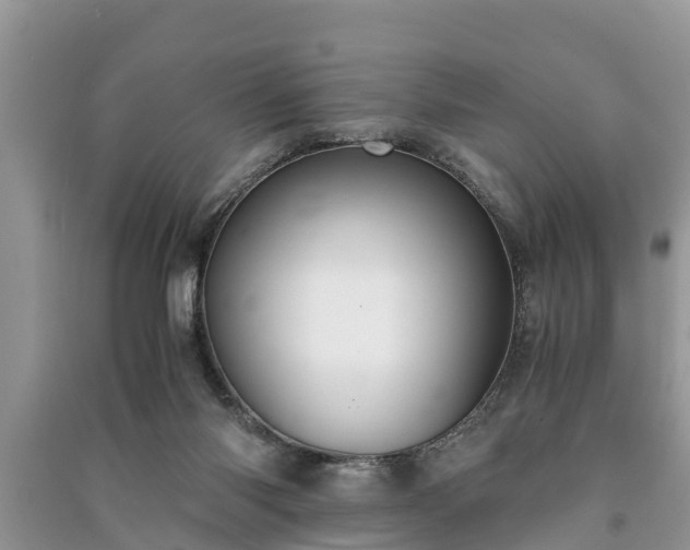 X0000091060118200708131139