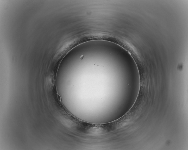 X0000091060119200708131139