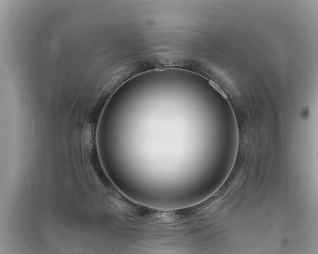 X0000091060121200708131139