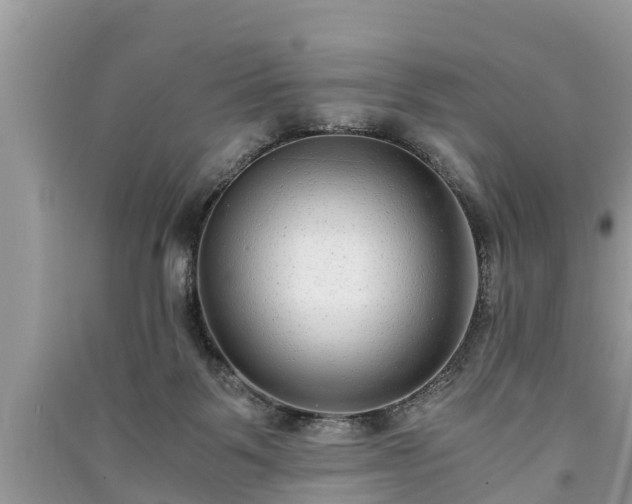 X0000091060123200708131139