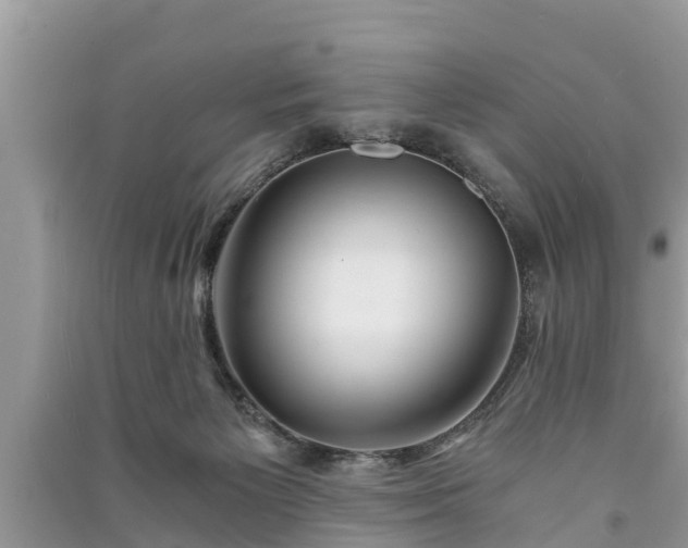 X0000091060125200708131139