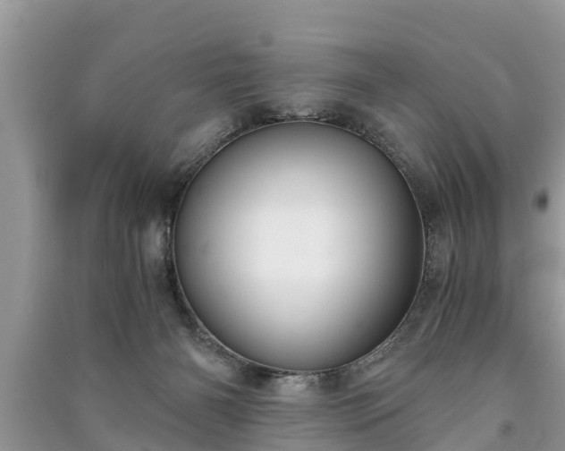 X0000091060126200708131139