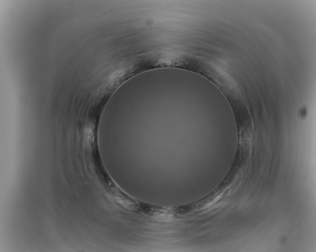 X0000091060127200708131139