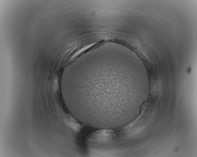 X0000091060128200708131139
