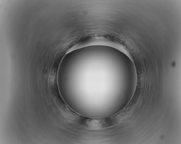 X0000091060129200708131138