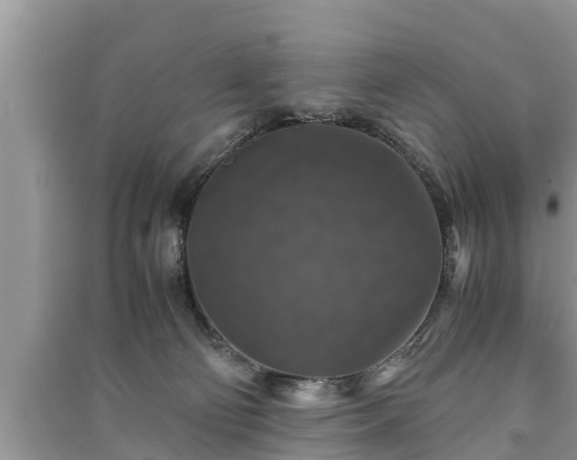 X0000091060130200708131138