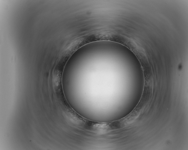 X0000091060133200708131138
