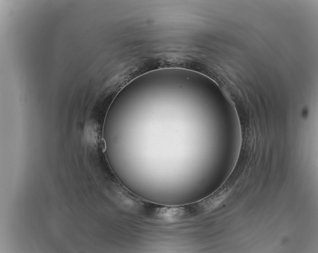 X0000091060135200708131138