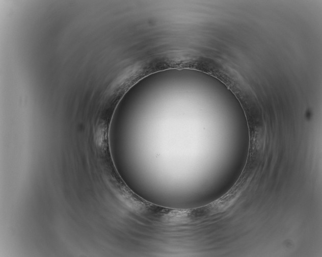 X0000091060138200708131138