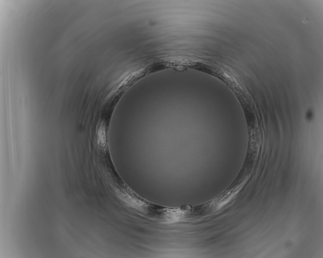 X0000091060143200708131138