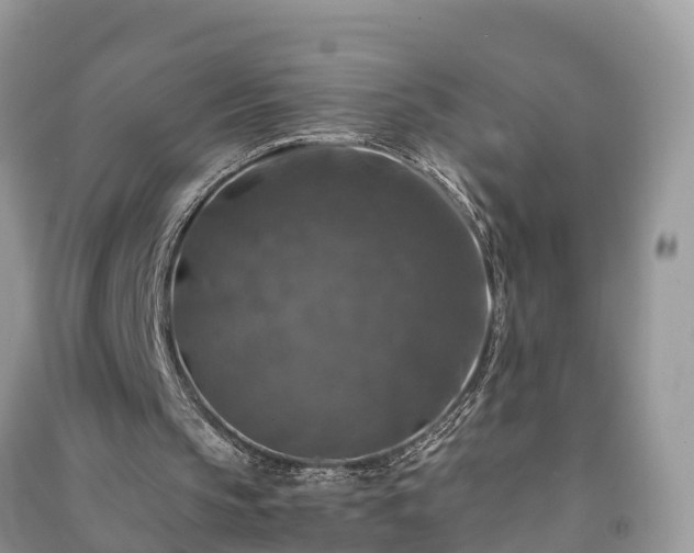 X0000091060145200708131138
