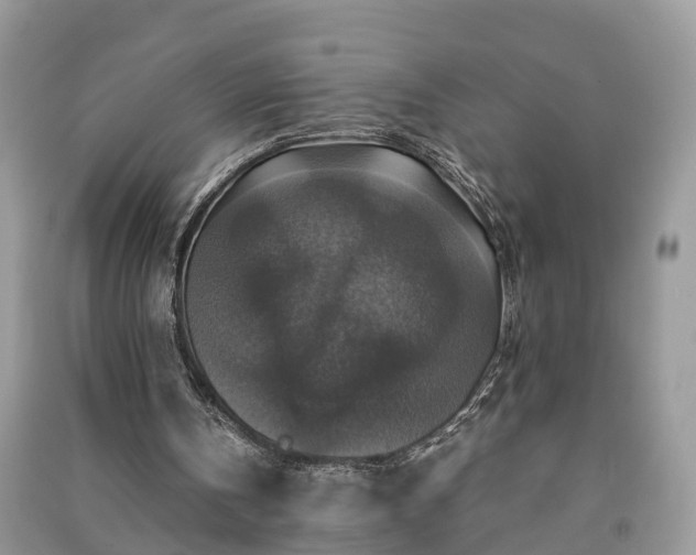 X0000091060146200708131138