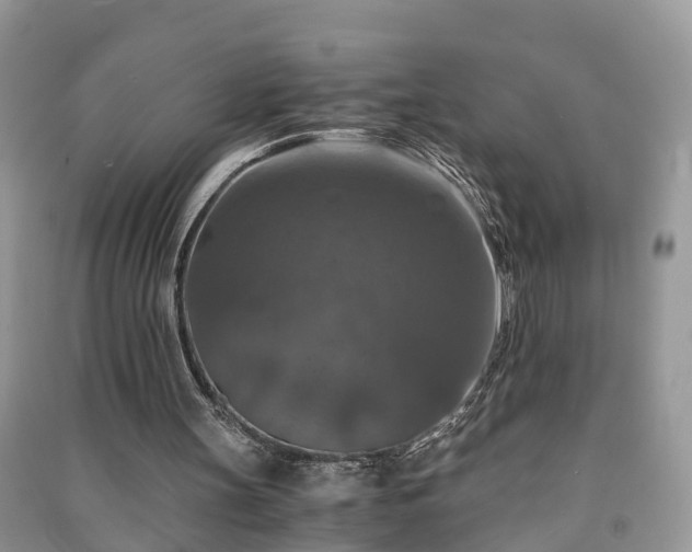 X0000091060147200708131138