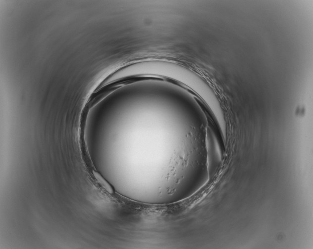 X0000091060148200708131138