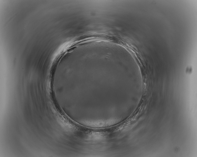 X0000091060149200708131138