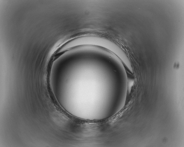 X0000091060150200708131138