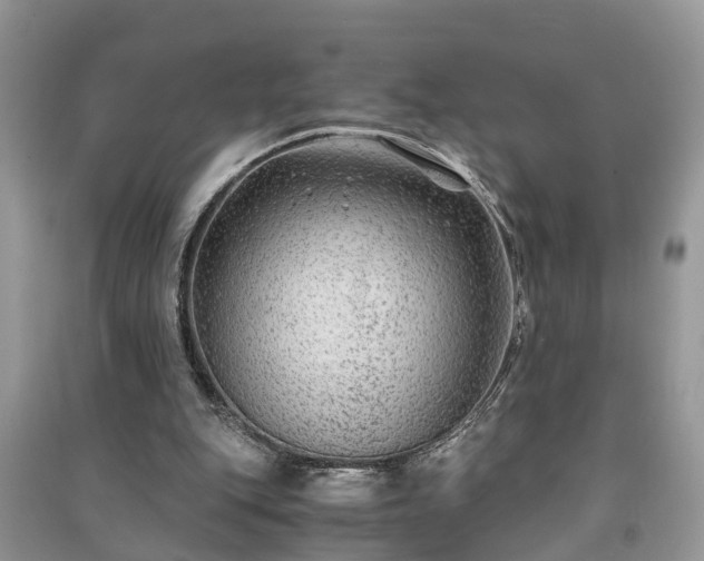 X0000091060151200708131138