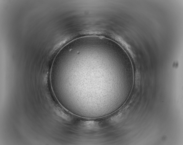 X0000091060153200708131138
