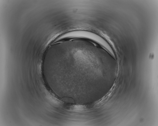 X0000091060154200708131138