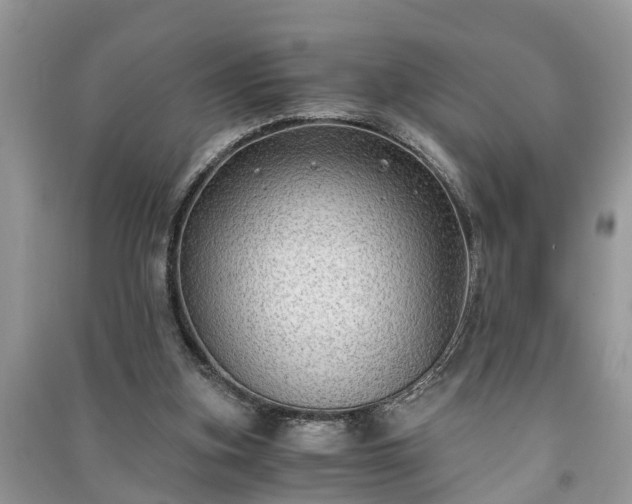 X0000091060155200708131138