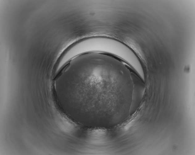 X0000091060156200708131138