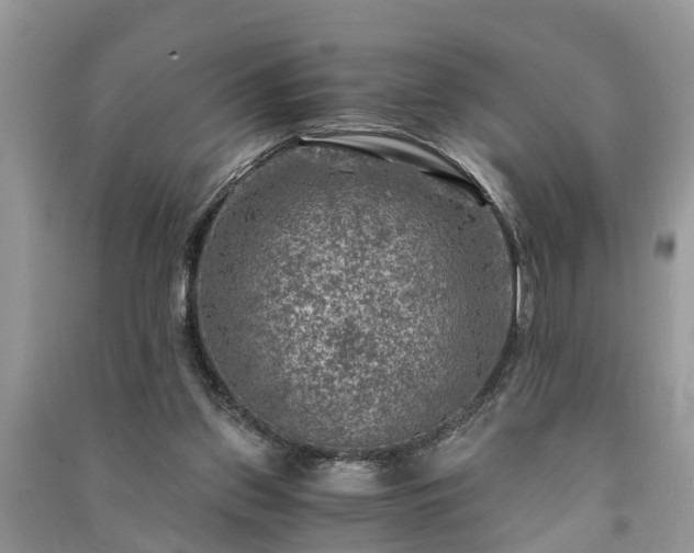 X0000091060157200708131138