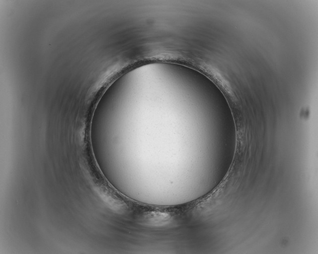 X0000091060159200708131138