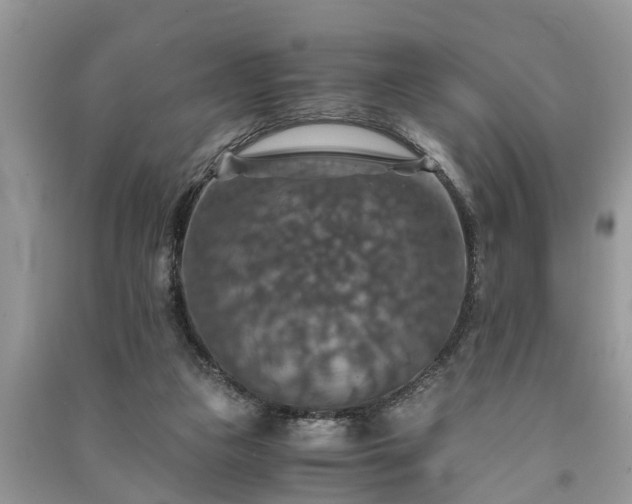 X0000091060161200708131138