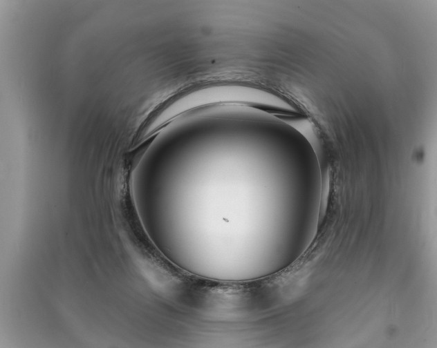 X0000091060164200708131138