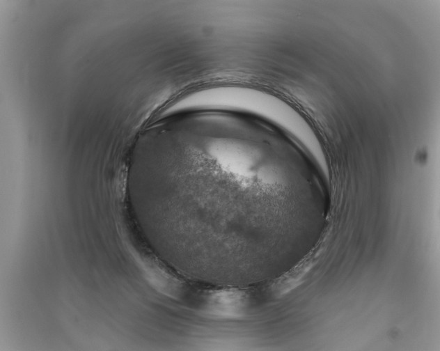 X0000091060168200708131138
