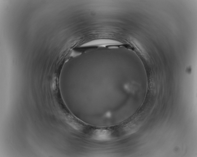 X0000091060169200708131138