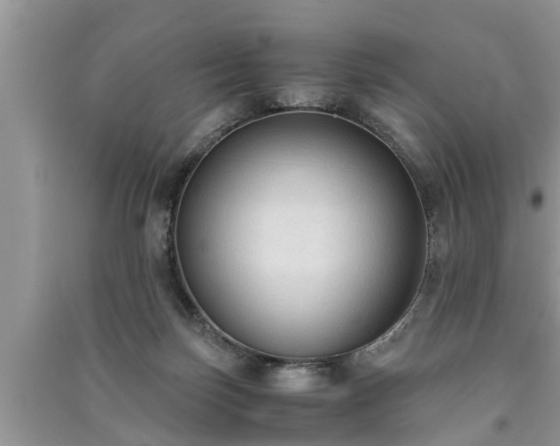 X0000091060171200708131138