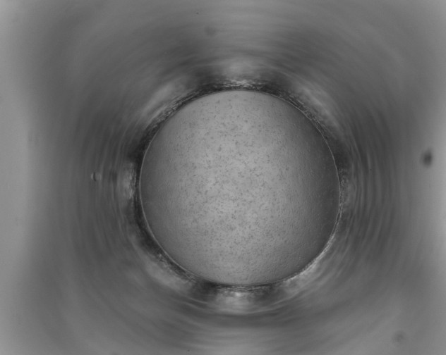 X0000091060174200708131138