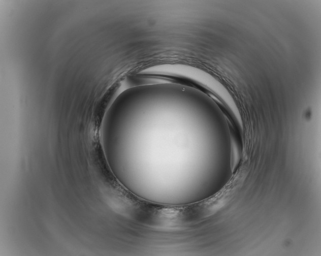 X0000091060176200708131138