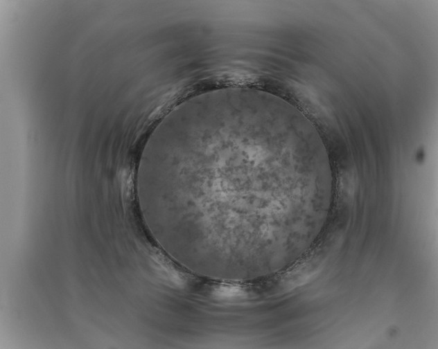 X0000091060177200708131138
