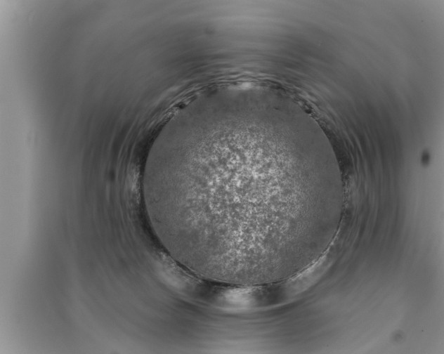 X0000091060178200708131138