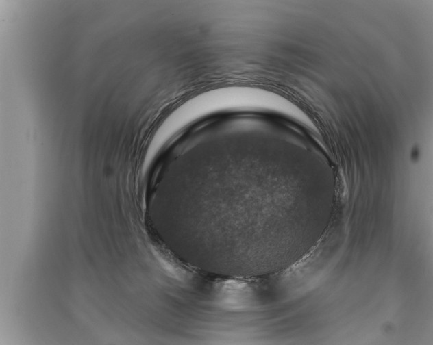 X0000091060180200708131138