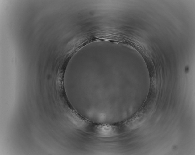 X0000091060181200708131138
